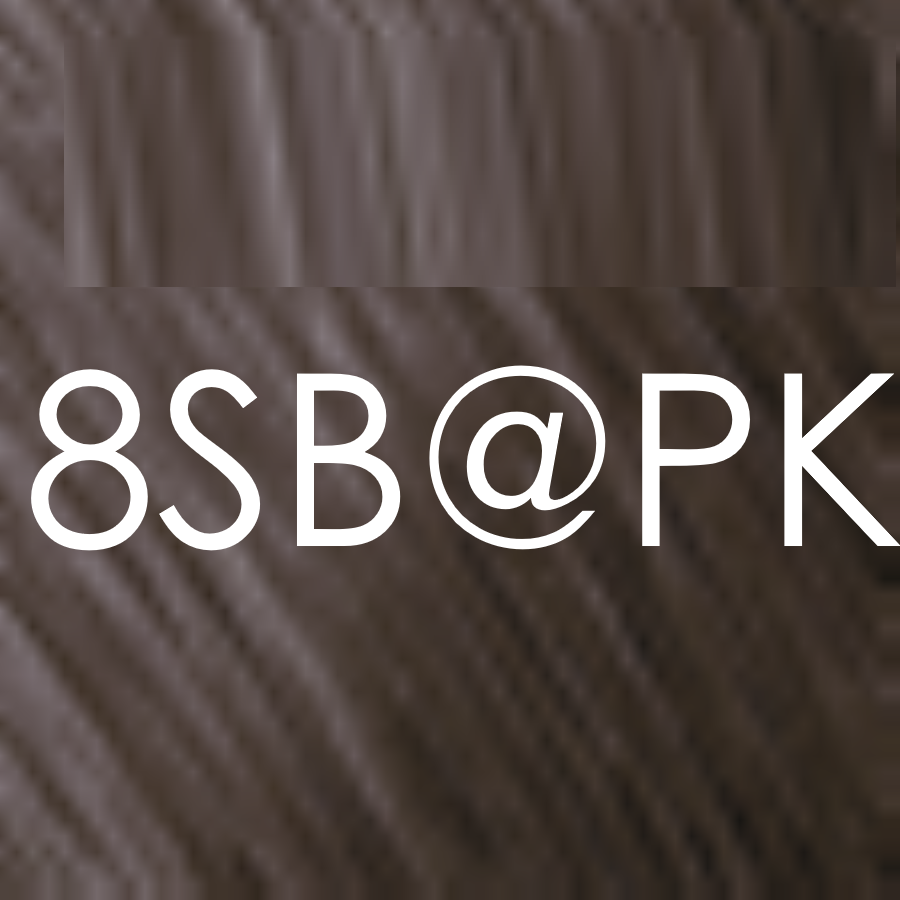8SB@PK silber blond elumenated braun kupfer