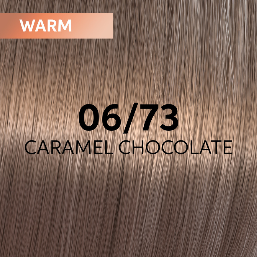 06/73 Caramel Chocolate 