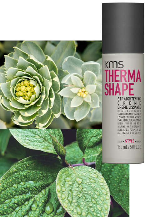 KMS Thermashape Straightening Creme 150ml KMS Thermashape Straightening Creme 150ml