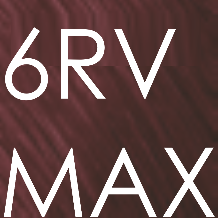 6RV MAX stunning purple