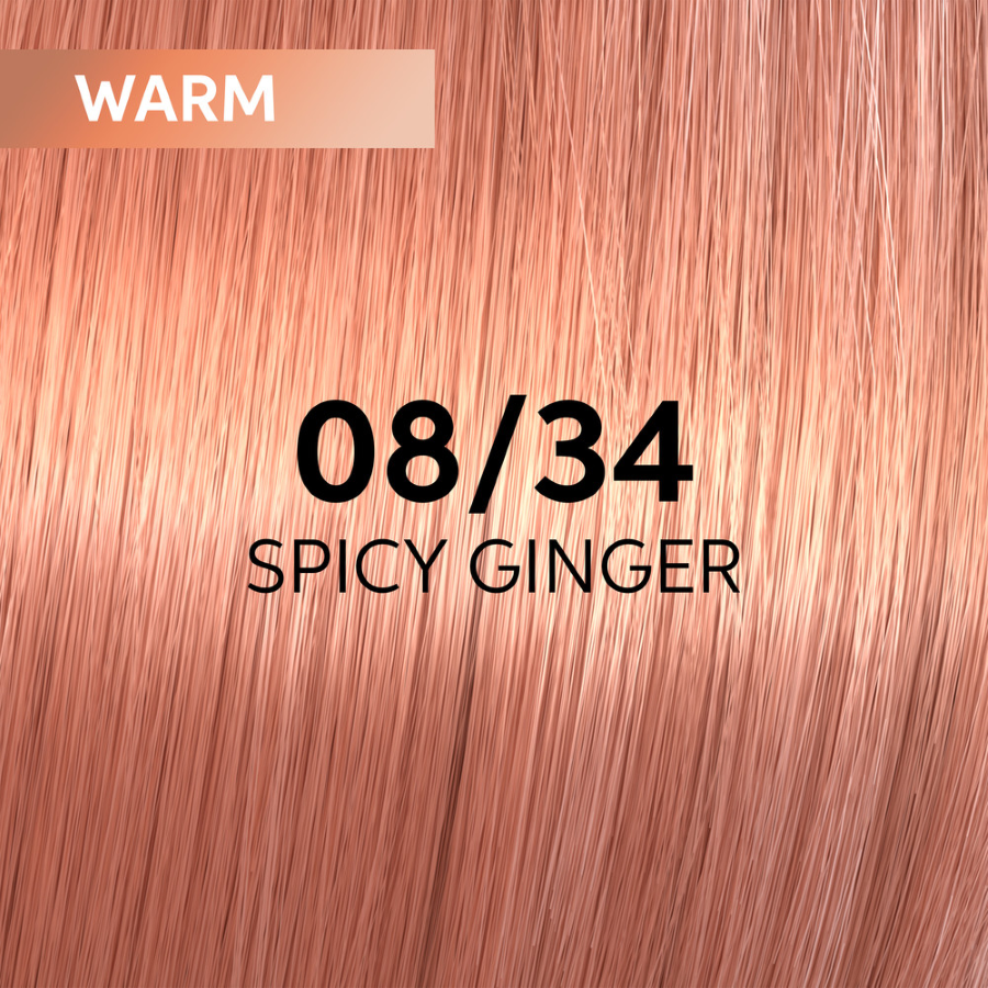 08/34 Spicy Ginger 