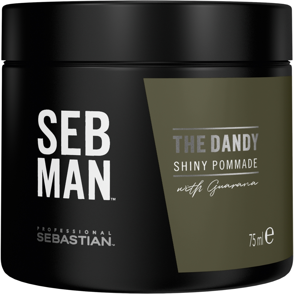Sebastian Man The Dandy Light Hold Pomade 75ml Sebastian Man The Dandy Light Hold Pomade 75ml