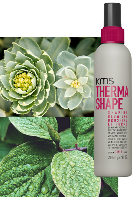 KMS Thermashape Shaping Blow Dry 200ml KMS Thermashape Shaping Blow Dry 200ml